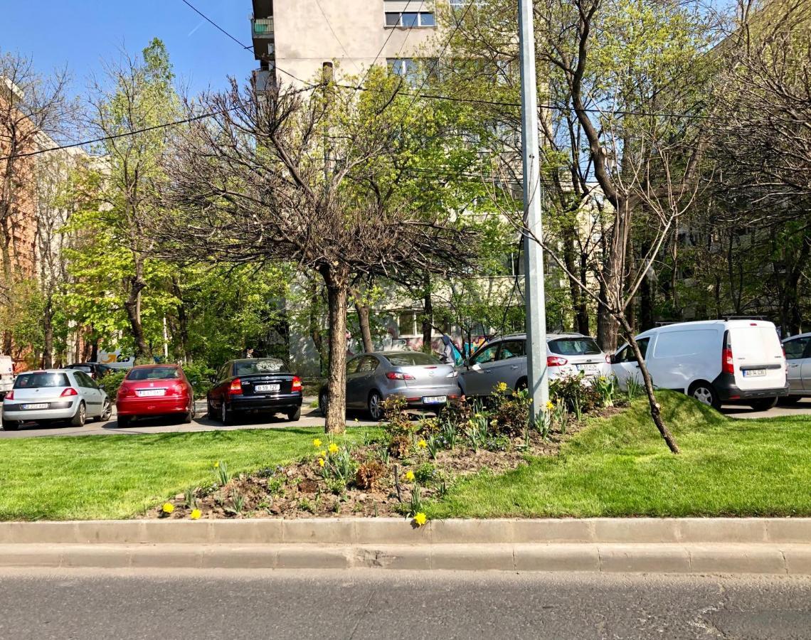 Cozy And Clean Apartment, Near National Arena Bucarest Exterior foto